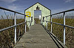 Alviso