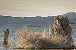 Mono Lake Tufa