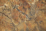 Earth Frame #8