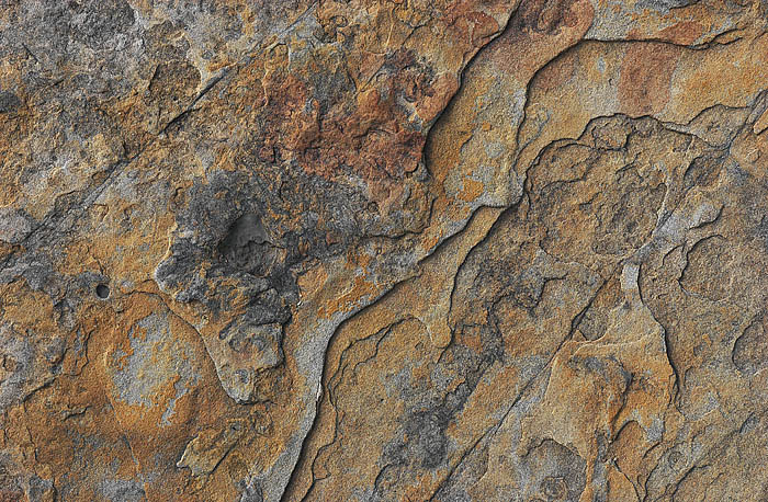 Earth Frame #26