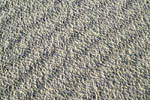 Sand Waves at Death Valley