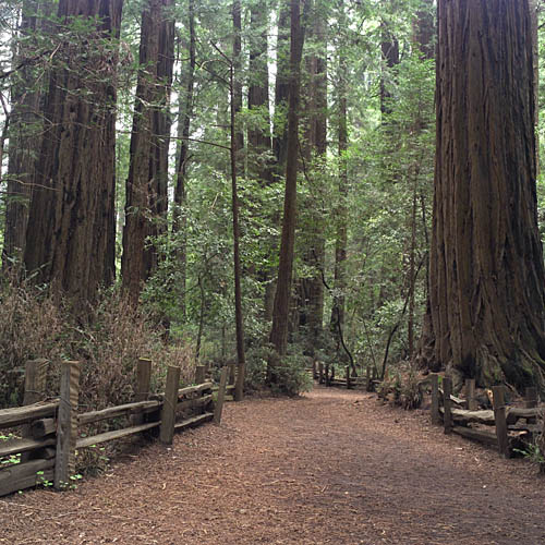 434V0622_HenryCowell_22a.jpg