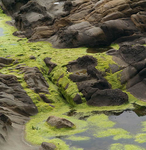 434V0801_pebbleBeachWithGreen.jpg