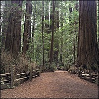 434V0622_HenryCowell_22a.jpg