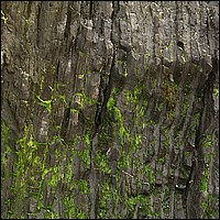 434V0713_BigSur_Rock_22.jpg