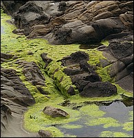 434V0801_pebbleBeachWithGreen.jpg