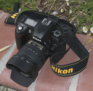 Nikon D Experience