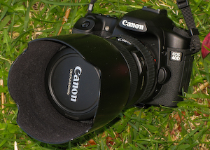 Canon EOS 40D review 